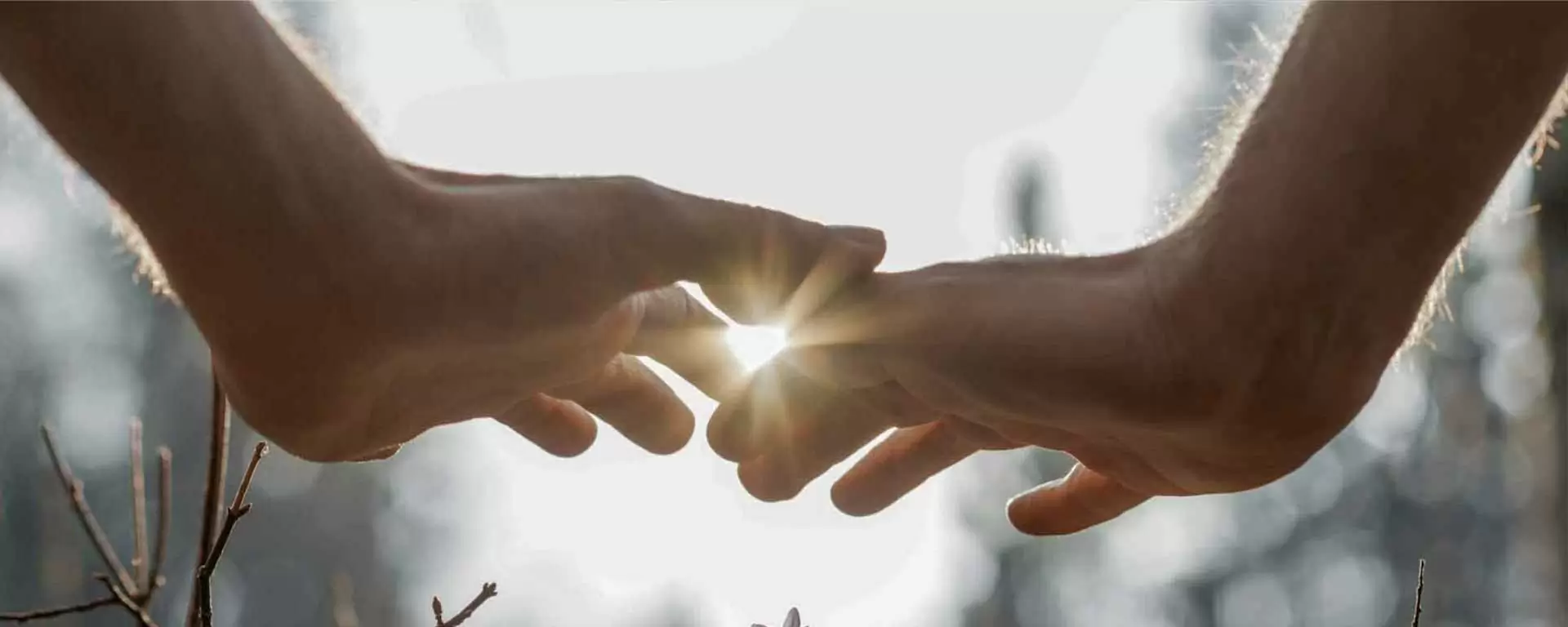 Reiki 1 with Inge – group starting April 27, 2024 Reiki 1 with Inge – group starting April 27, 2024